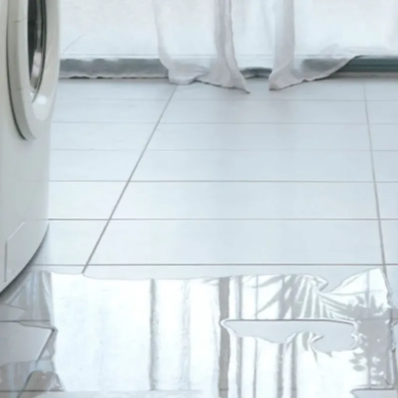 Appliance Leak Cleanup in Springfield, OH