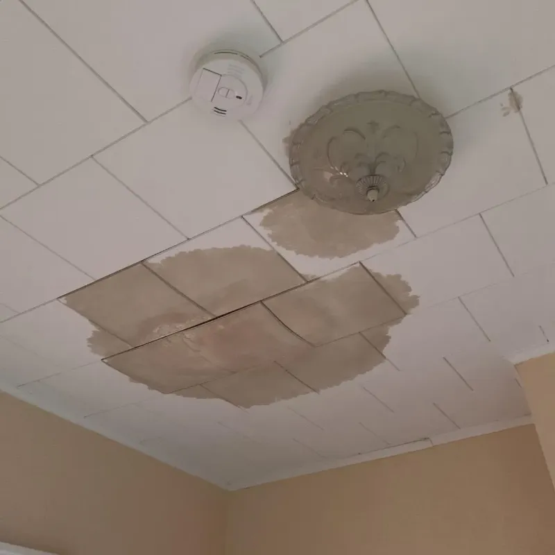 Ceiling Water Damage Repair in Springfield, OH