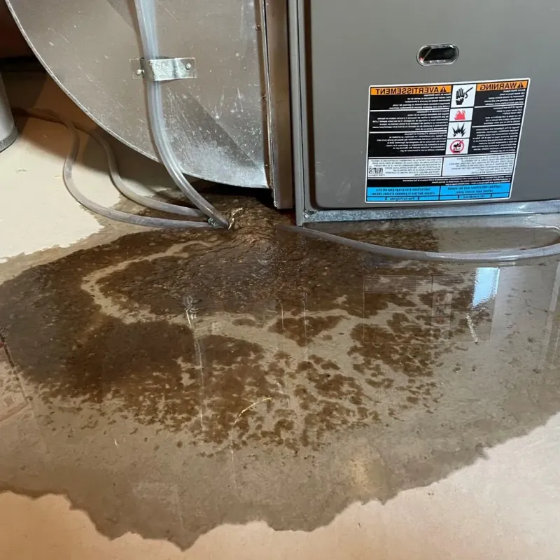 Pipe Burst and Leak Restoration in Springfield, OH