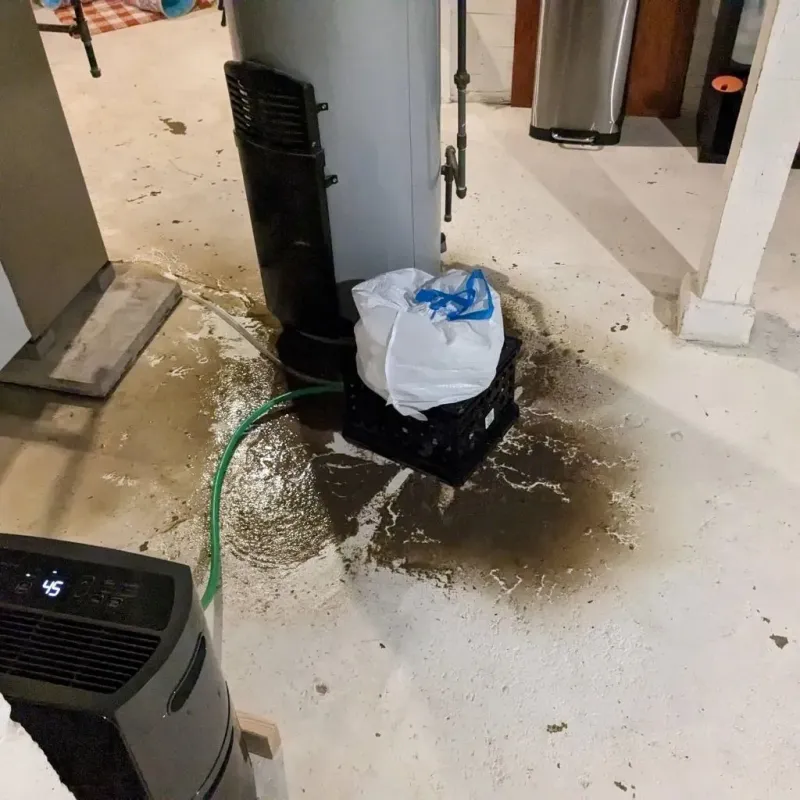 Sewage Backup Cleanup Service in Springfield, OH